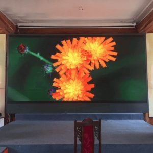 Màn Hình Led P4 Hội Trường, Sân Khấu